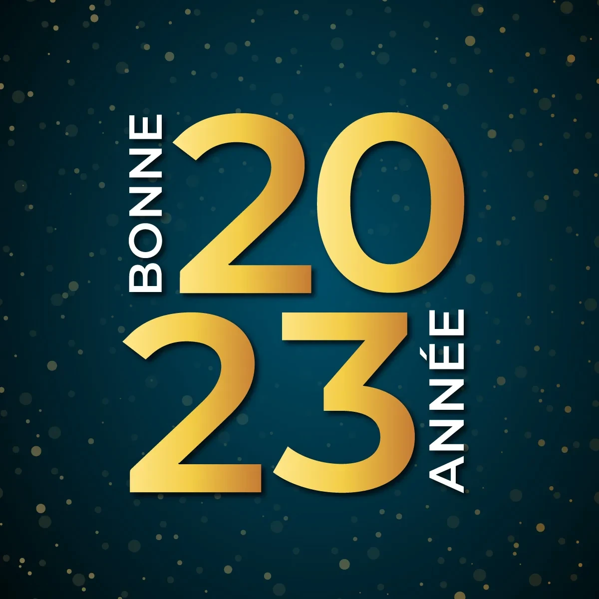 Bonne année 2023 : les vœux d'ADIS 95