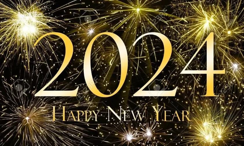 Bonne année 2024 : les vœux d'ADIS 95 à ses clients professionnels
