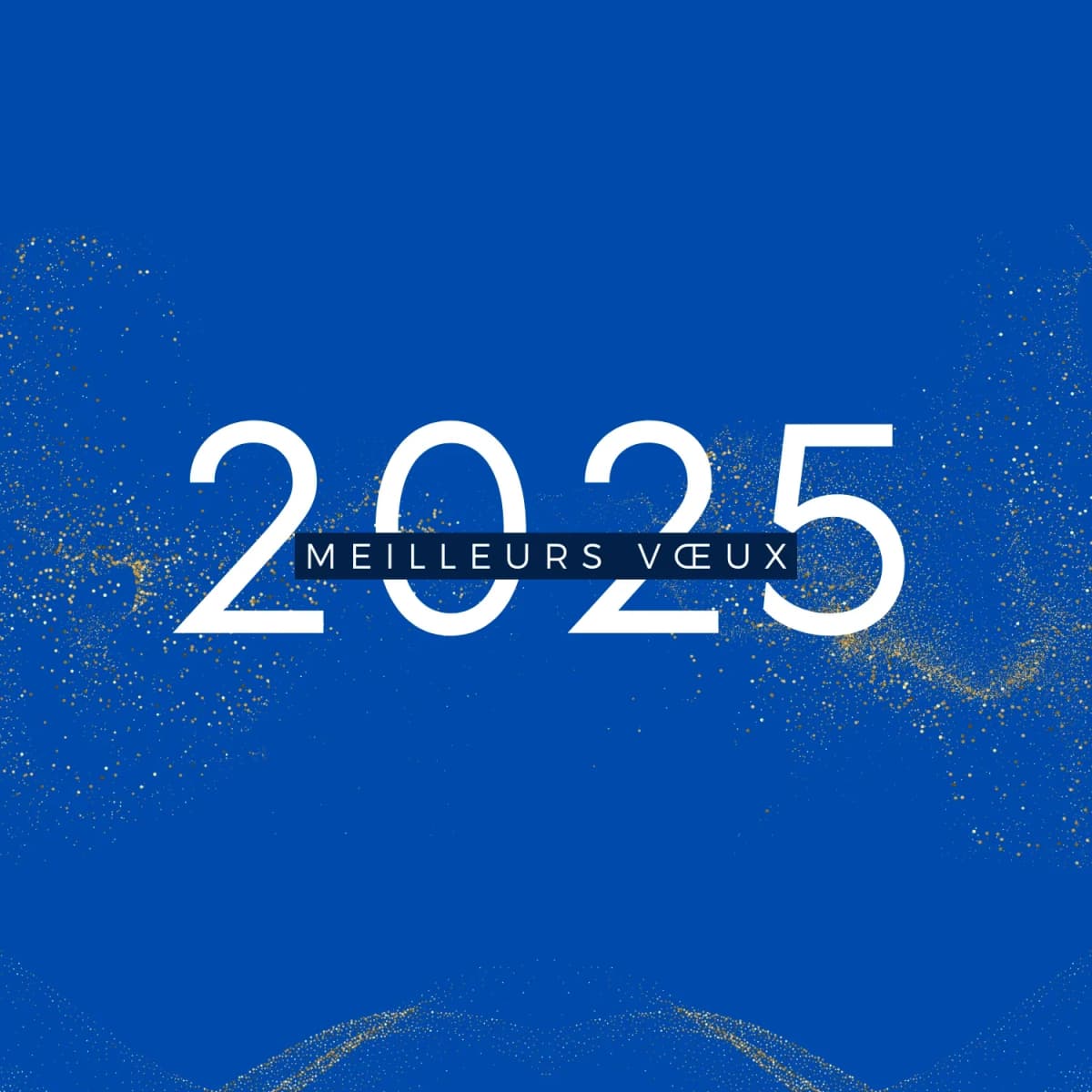 Bonne année 2025 : les projets ADIS 95 pour cette nouvelle année
